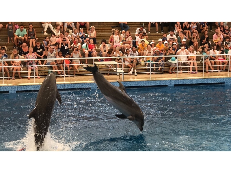 Dolphinarium Aquarium