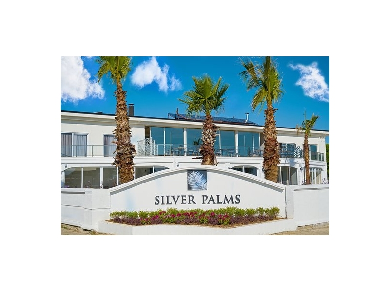 Silver Palms