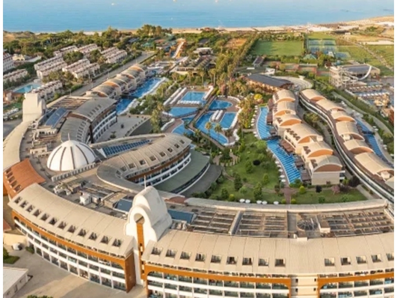 Tuı Magic Life Jacaranda